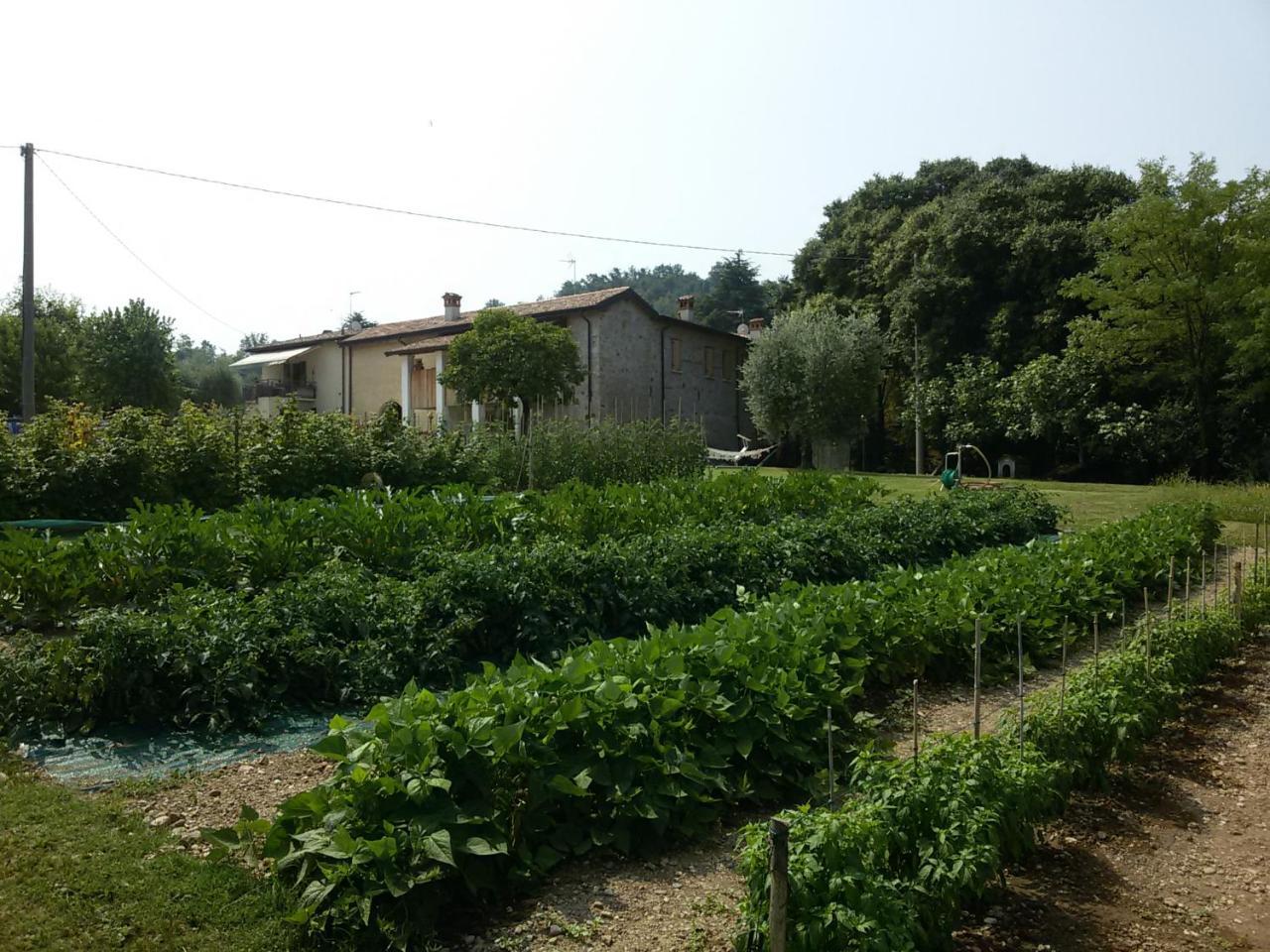 Agriturismo la Scala Villa Saló Exterior foto